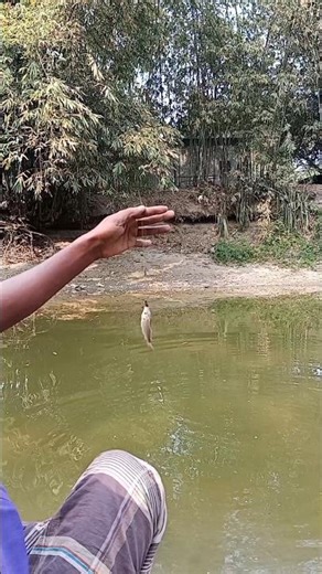 Amazing Moment Catching Baby Carp Fish with Hook