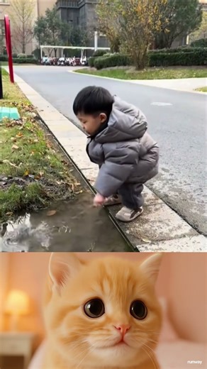 Funny Human Fails Compilation Hilarious Animals Getting Into Trouble Must See Moments! #181