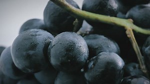 Free Water Videos: 4K & HD | No Watermark | Download Now