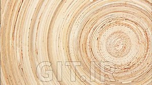 Systems Thinking: Essential Concepts