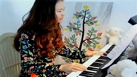 特伦斯 Terence 手卷钢琴88键折叠电子钢琴便携成人儿童演奏钢琴键盘