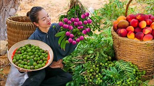20K views · 616 reactions | Harvesting Crocodile Fruit And Assorted Fruits On High Goes to the market sell #anhdailylife | Phuong - Harvesting | Facebook