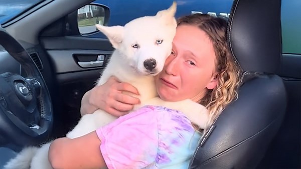 Girl’s Joy Explodes When She Meets Her Dream Puppy