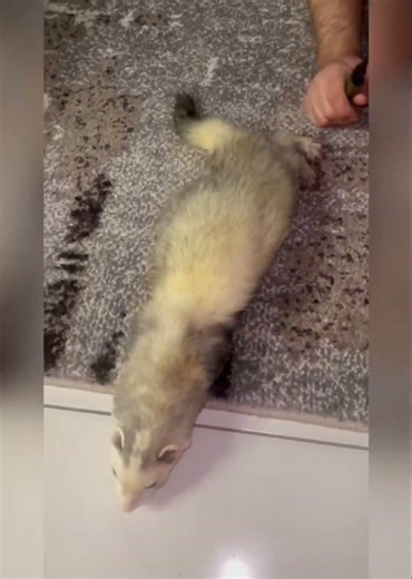 Закончились 2 месяца Ада для тебя и меня😩 Но я так скучаю😩🙏 #shorts