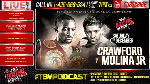 Call in: Terence Crawford vs. John Molina Jr., preview and predictions