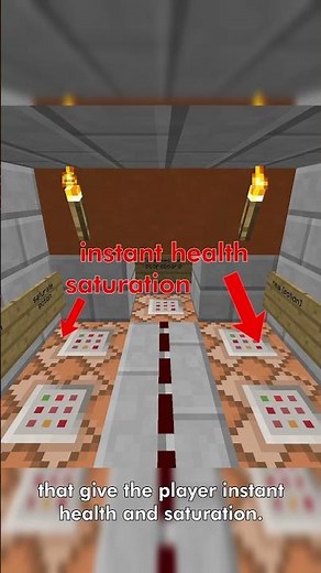 Minecraft CTM Speedrunners Discovered Immortality