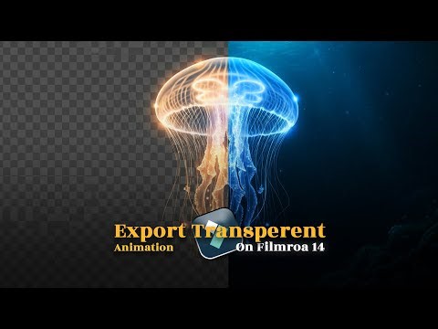How To Export Transparent Video On Filmora 14