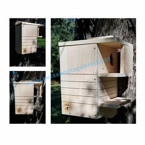 Squirrel Nest Box -wildlife Rehab Approved-predator Resistant Squirrel House With Two Porches - Etsy