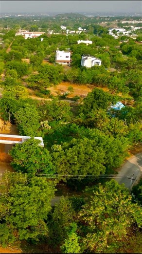 Shamshabad Peddagolkonda fam house #gatedcommunities plots for sale plot size starts from 605sqyds