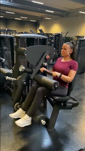 Gym80 Seated Leg Curl Machine (hamstrings)