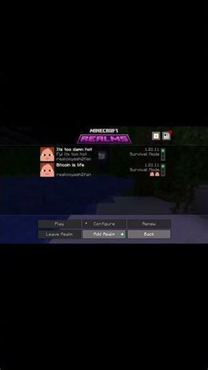 Minecraft Connection ERROR?! Spider Farm & Diamond Haul!