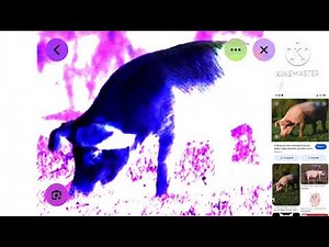 Baby Einstein pig PNG Preview 2 EFFECTS in g major 6