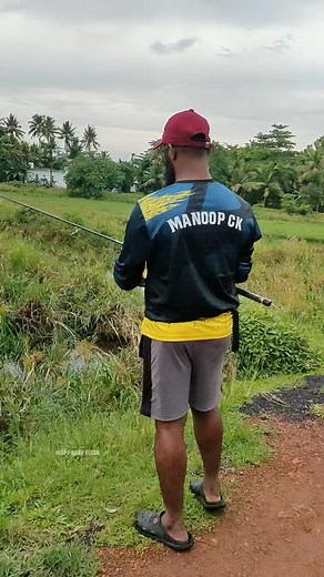 23K views · 315 reactions | Fishing near paddy field | DEEPU BABU VLOGS | Facebook