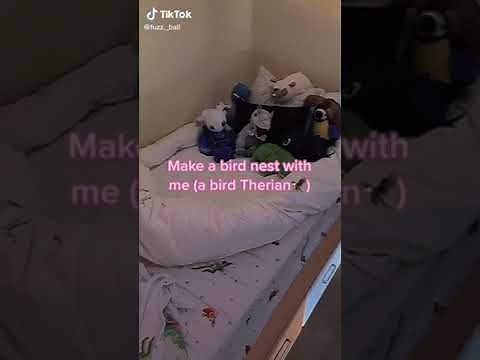 Bird Therian TikToks! (Therian Alterhuman TikTok Comp # 10)