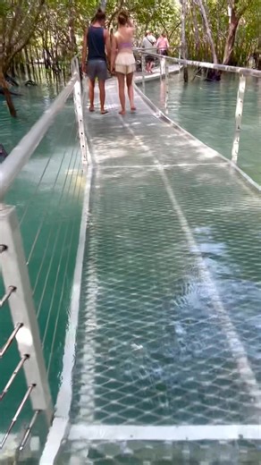 What’s your fav Jetty or Board Walk in Australia? This new one in Darwin is Very Cool 😎 Northern Territory – Australia Palms City Resort Million Dollar Fish | Fishing Australia TV