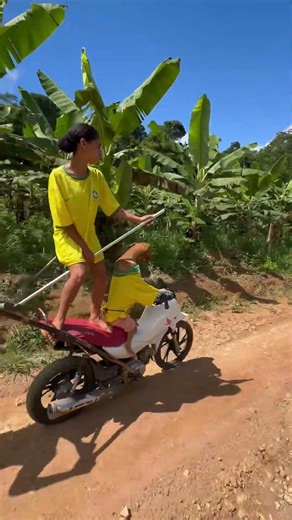 ELE SABE E OQ E #1000subs #foryou #humor #viral #500subs