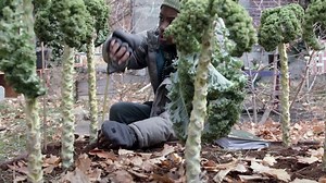 Chained Movie - video Dailymotion