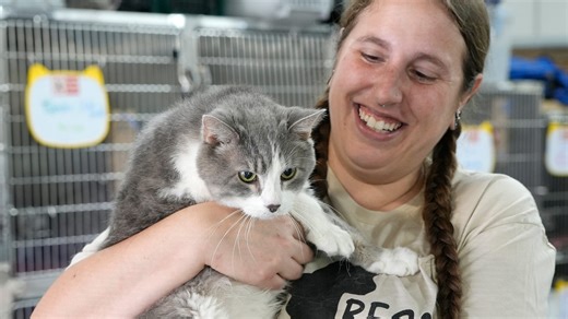 Paws and Prayers offers 'forever fosters' to help aging animals