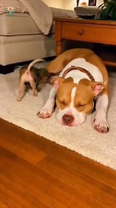 169K views · 4K reactions | Fart moments 來 | S D Creation | Facebook