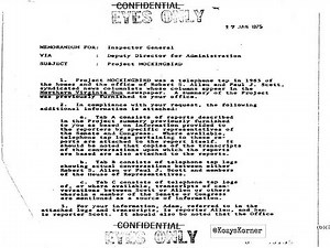 What is Project Mockingbird?