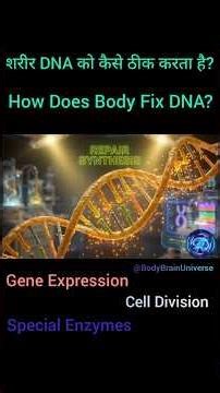 DNA Damage Kaise Repair Hota Hai? | DNA Control System Explained