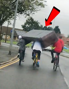 Two-wheeled adventures gone awry. | Ray's Funny Page