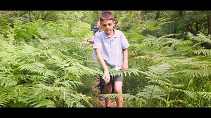 1.3K views · 15 reactions | A new destination film featuring a modern...