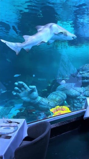 Suvana Phuket Underwater Restaurant | Magical Dining Experience