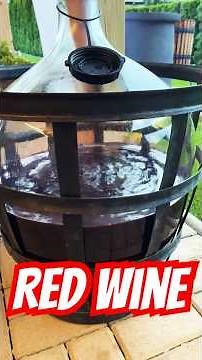 Making Red Wine at Home | Macerating grapes, pressing grapes, demijohn