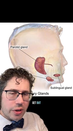 395K views · 3.9K reactions | @hey ash Why does my mouth hurt when I eat? What is first bite syndrome? #eating #tiktokdoc #LearnOnTikTok | Zachary Rubin, MD | Facebook