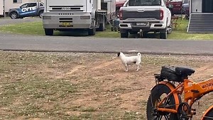 Megan Jones on Reels