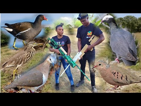 First Hunt Of The Jamaica Bird Hunting Season 2023...EPIC!!!