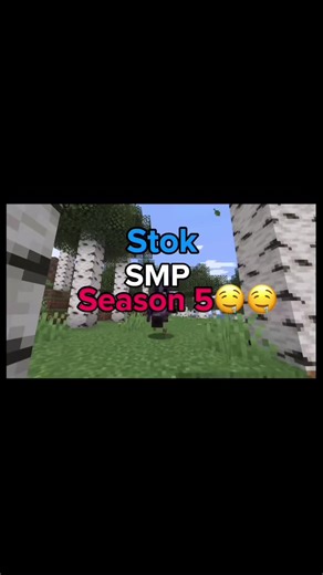 Join the Fully Vanilla Minecraft SMP Now!