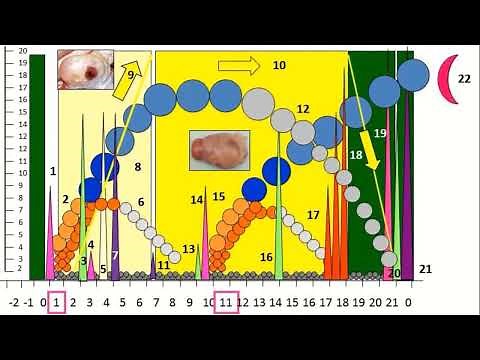 Formations en ligne en reproduction bovine : SAISON 3