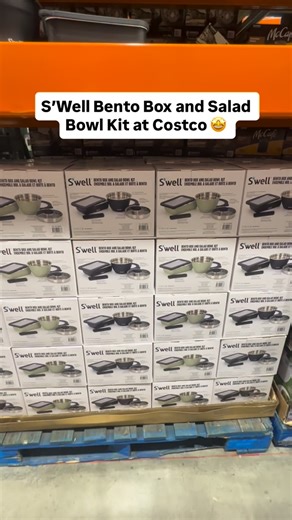 S’Well Bento Box and Salad Bowl Kit at Costco 🤩 These are the perfect lunch containers! #swell #lunch #costcofindsca @swell | costcofindsca