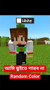 💀 মাইনক্রাফ্ট But আমি ছুইতে পারব না Random Color || #shorts #MinecraftChallenge #MinecraftShorts