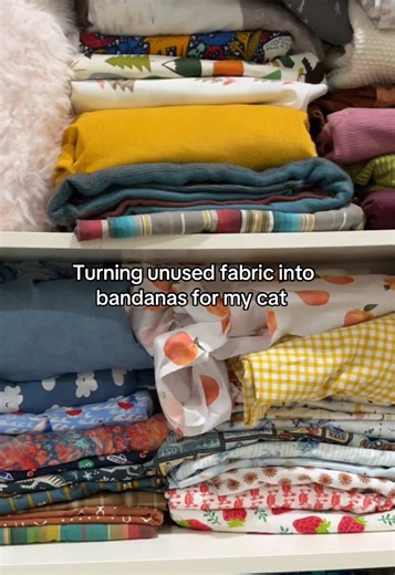 Turning Unused Fabric into Stylish Cat Bandanas