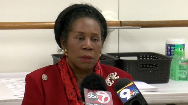 Texas Democrats Menefee and Edwards advance to runoff for vacant US House seat