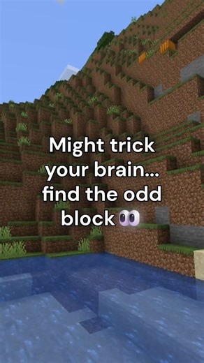 This Odd block in Minecraft can Trick your brain🤯