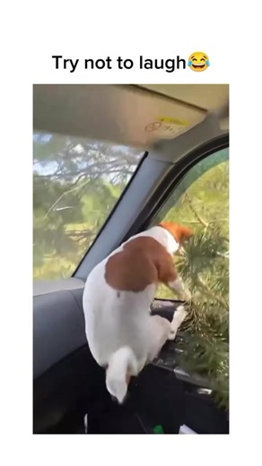 Epic Fail Compilation: Hilarious Moments You Can't Miss