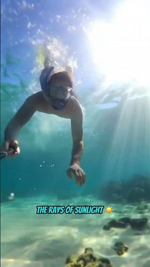 BEST SNORKELING 🤿 Things To Do In Cabo, Mexico