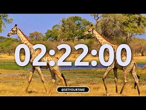 2 Hour 22 Minute Countdown Timer 🇧🇼 | Botswana Focus Timer with Marimba & Relaxing Melodies