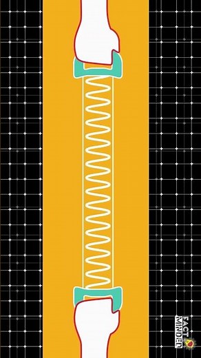 How a falling Slinky Defy Gravity?