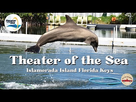 Theater of the Sea: Islamorada Island Florida Keys