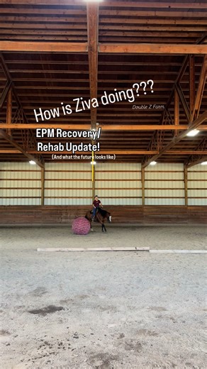EPM update on my horse Ziva! Overall, she’s really making positive progress! We still have a little bit to go, but we are staying positive, and dedicated to healing!! #horses #epm #horseriding #horsecare | Double Z Farm