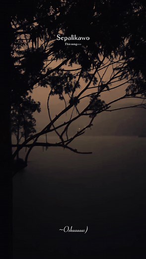 Sepalikawo Slowed Reverb: Sunset Nature Photography Journey