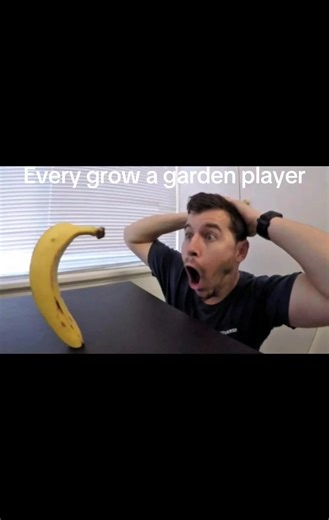 cuddle fish (@cuddle_fish26)’s videos with Grieg / Morning Mood 02 (Full Oke LP version)(899765) - Icy Light