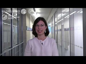 Protein plasticity and evolution: The research group of Agnes Toth-Petroczy at MPI-CBG