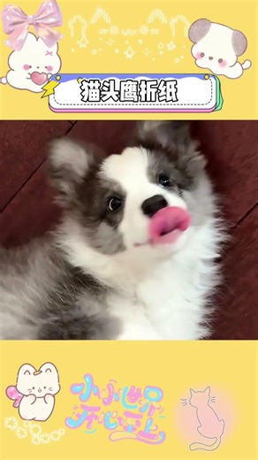 Master the Owl Origami in a Blink! Tag Your Friends