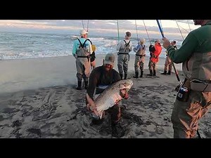 OBX Fishing 53 inch Drum Caught at Hatteras Island Cape Point November 14, 2021